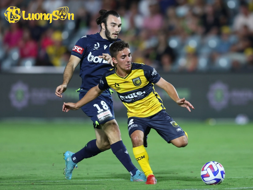 Central Coast Mariners và Melbourne City đều muốn chiến thắng ở trận này (Ảnh: Central Coast Mariners)